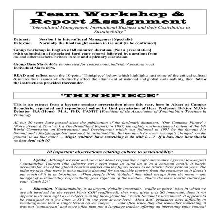 Micai susty team workshop