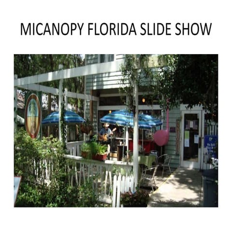 Micanopy Florida Slide Show