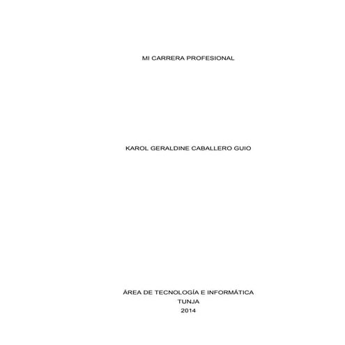 Mi carrera profesional