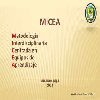 Micea profesores