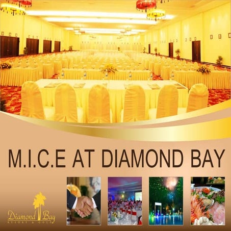 Mice introduction eng in Diamond Bay Nha Trang
