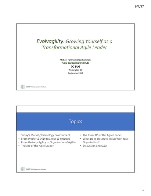 DCSUG - The Art and Practice of the Agile Leader