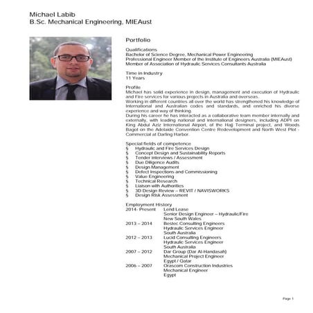 Michael labib portofolio 2017