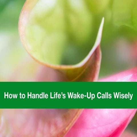 How to Handle Life's Wake-Up Calls Wisely