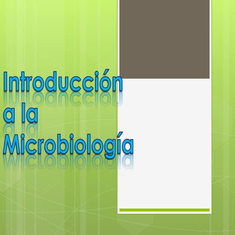 Microbiologia
