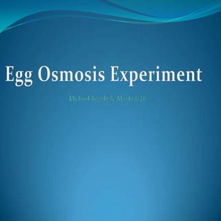 Michael's egg osmosis experiment
