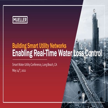 BUILDING SMART UTILITY NETWORKS ENABLING REAL-TIME WATER LOSS CONTROL