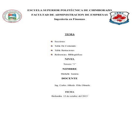 Secciones Ingenieria Financiera-Michelle izurieta-infor