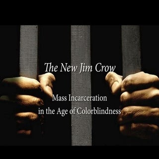 The New Jim Crow - statistical evid...