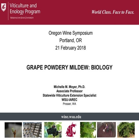 2018 Oregon Wine Symposium | Powdery Mildew Management - Michelle Moyer