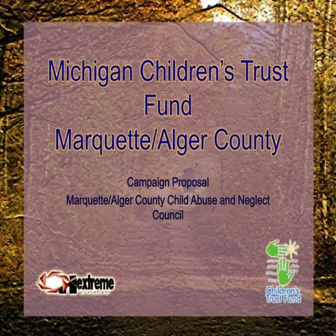 Michigan CTF Campaign Proposal Presentation