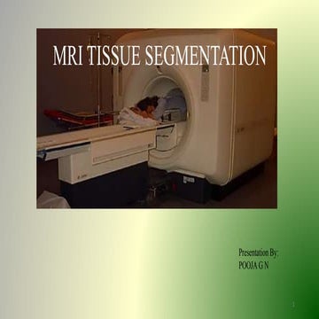 MRI Tissue Segmentation using MICO