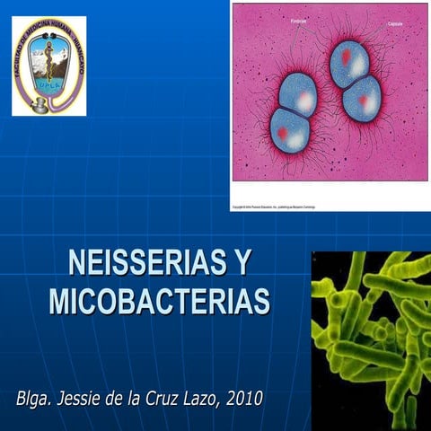 Micobacterias Neisserias