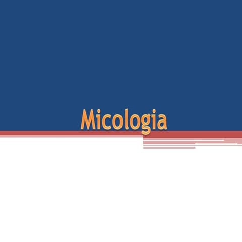 Micologia resumen de algunos hongos