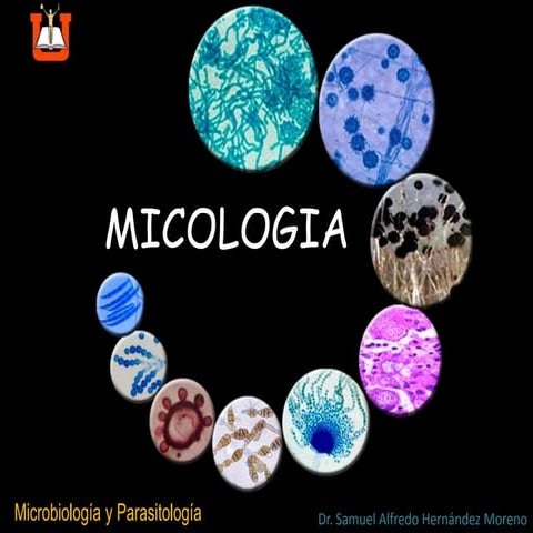 Micologia Clinica 