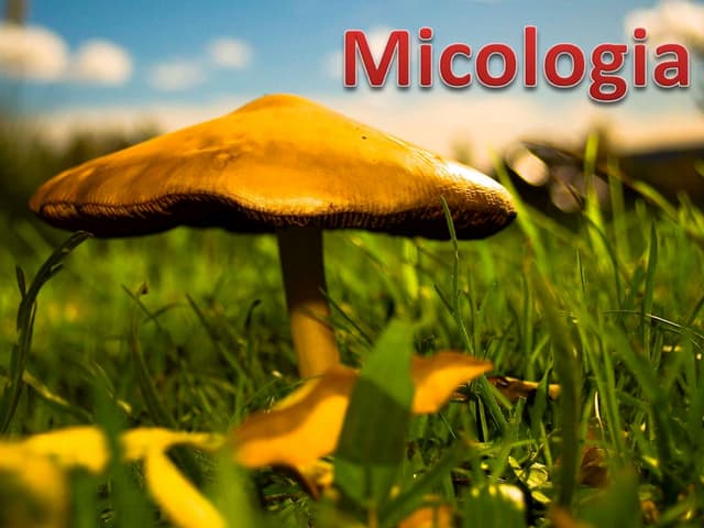 Micologia e Reino Fungi | PPTX