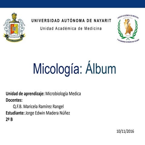 Album (fotos) de Micologia Medica 
