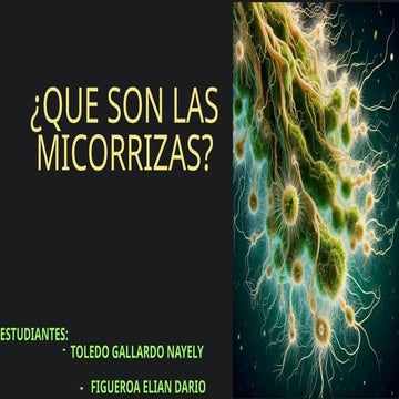 Las aplicaciones de los Hongos y su interaccion con las plantas