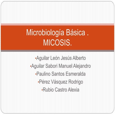 Micosis