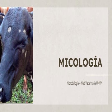 MICOSIssssssssssssssssssdddssssssssS  (1).pdf