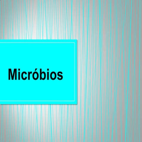 Micróbios beatriz 6 e