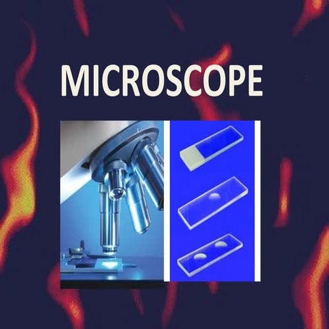 Microbiology (Microscope)