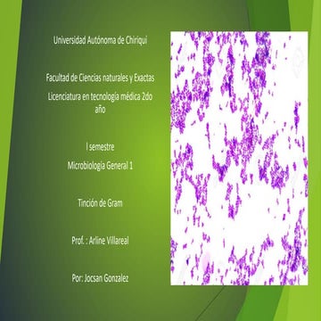 Tincion de gram.pptx