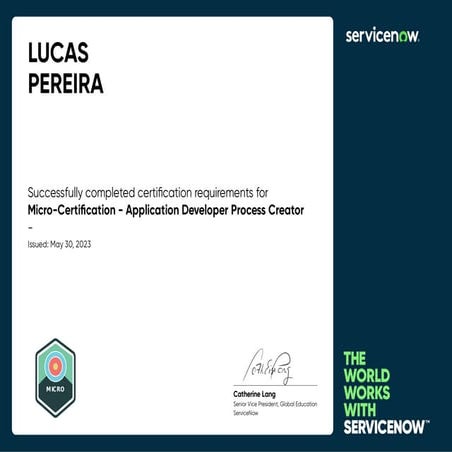 Application Developer Process Creator | PDF