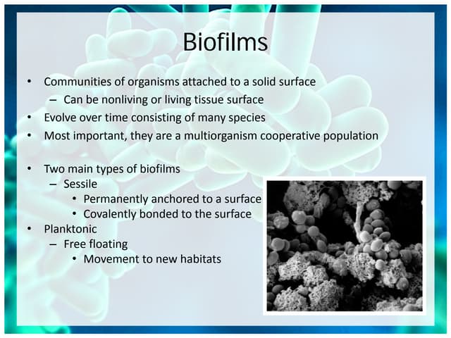 Micro   chapter 31 biofilms - architects of disease