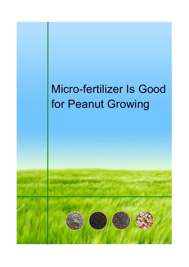 Microfertilizer Is Good for Peanut Growing