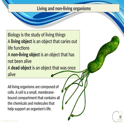 Micro-organisms powerpoint_1.pptxMicro-organisms powerpoint_1.pptx