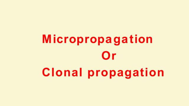 Micropropagation stage, plant tissue culture | PPT