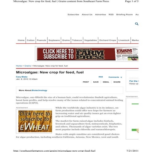 Microalgae new-crop-feed-f