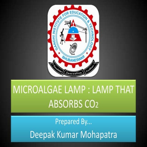 Microalgae Lamp : A Lamp that absorbs CO2