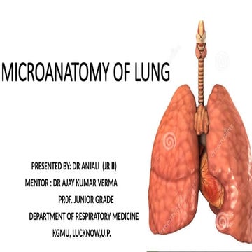 MICRO anatomy of lung full Detailed .pptx
