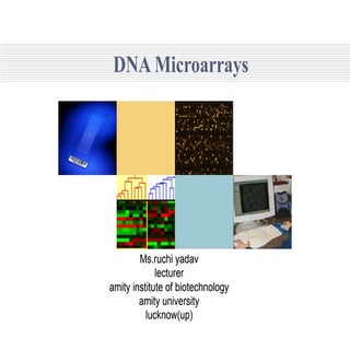 Microarray