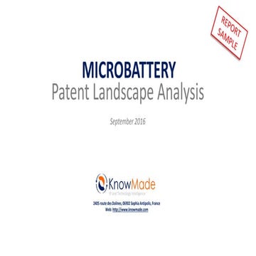 Miniaturized Gas Sensors Patent Landscape 2016 Sample | PDF