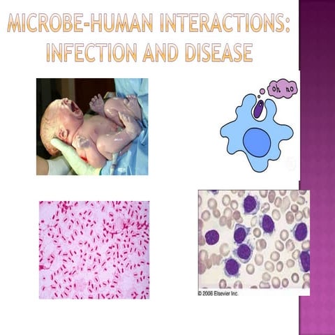 Pathogenic & Non pathogenic organisms.pptx