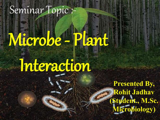 Microbe plant interaction