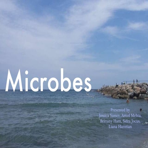 Microbe Presentation Ppt