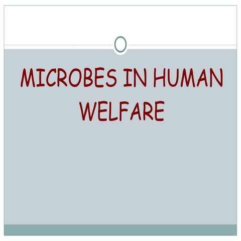 Microbes in human welfare