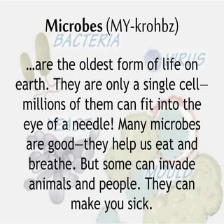 Microbes
