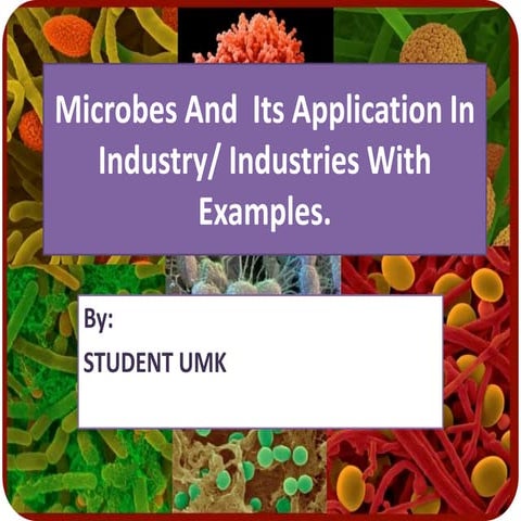 Microbes And  Its Application 