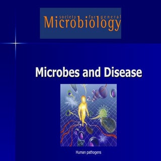 Microbes And Disease 