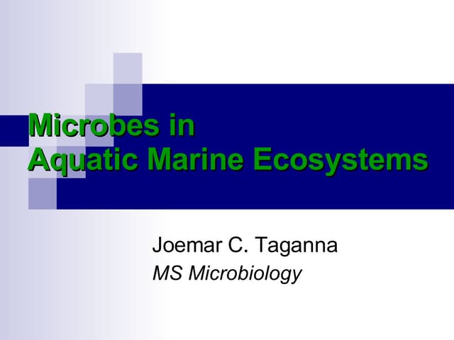 Microbes In Aquatic Marine Ecosystem
