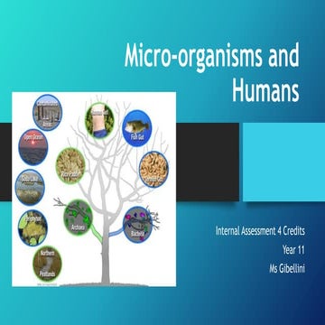 Micriobiology & Microbes | PPTX