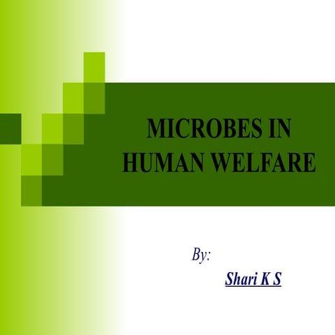 Microbes in human welfare