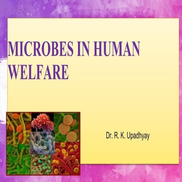 MICROBES IN HUMAN WELFARE.pptx class XII Biology