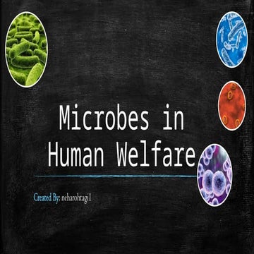 Microbes in Human Welfare PPT Class - 12