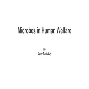 Microbes in Human Welfare, CLASS 12.pptx